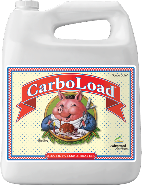 Advanced CarboLoad - 4L