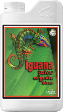 Advanced Iguana Juice Bloom - 1L