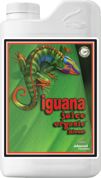 Advanced Iguana Juice Bloom - 1L
