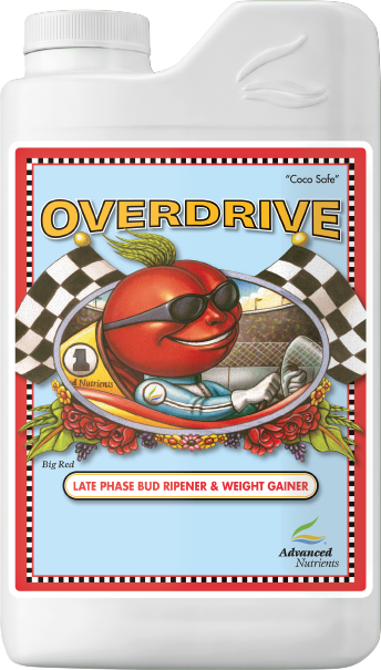 Advanced Overdrive - 1L