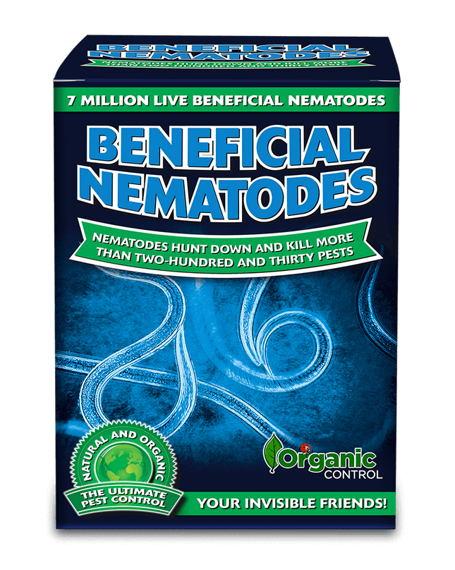 Orcon Beneficial Nematodes (Delivered To Your Door)