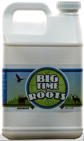 Big Time Roots - 2.5 GAL