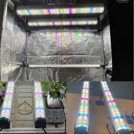 Mammoth Lighting Nova Sun 2-bar multi-use kit