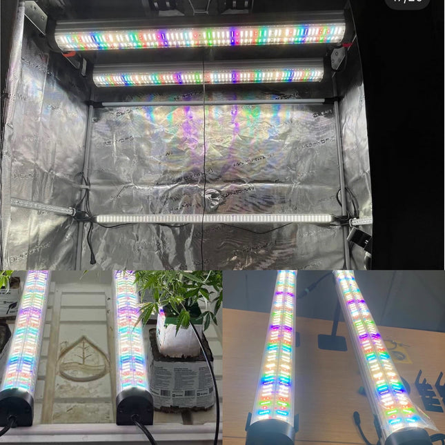 Mammoth Lighting Nova Sun 2-bar multi-use kit