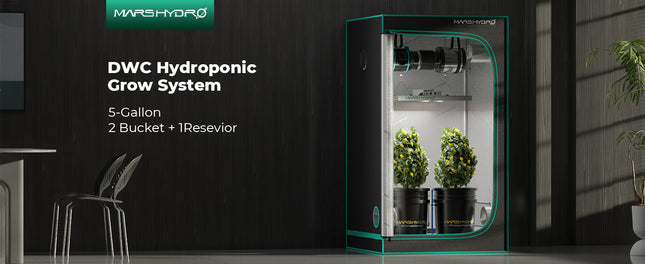 Mars Hydro 2-bucket DWC system