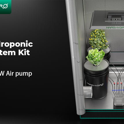 Mars Hydro 4-bucket DWC system overview
