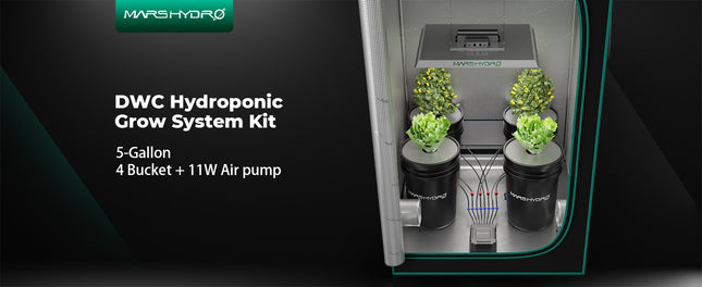 Mars Hydro 4-bucket DWC system overview