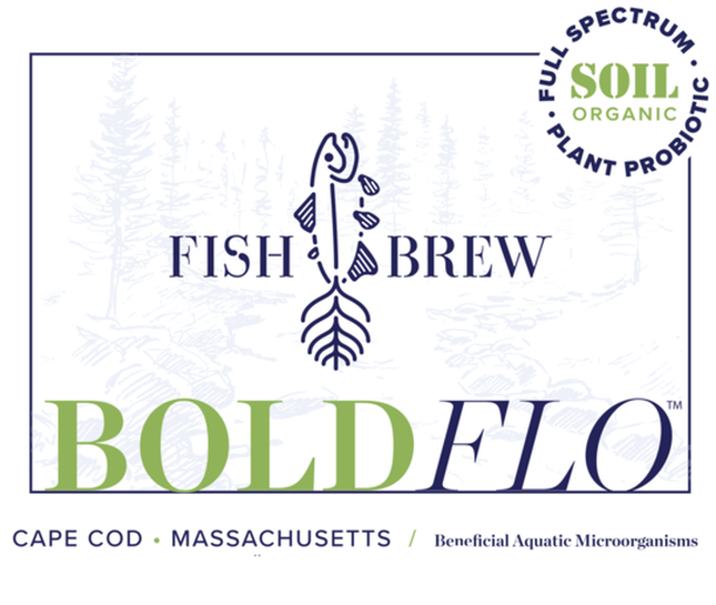 Fish Brew Bold Flo 32 oz