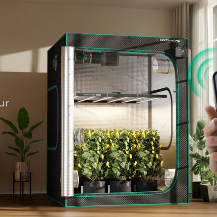 Mars Hydro FC-E8000 in a 5' x 5' grow tent