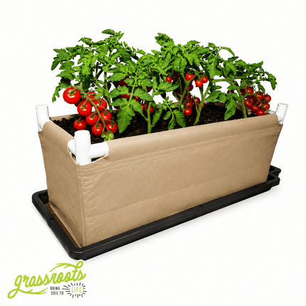 AutoPot Tray2Grow Grassroots Living Soil Kit