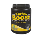 Green Planet Karbo Boost - 600G