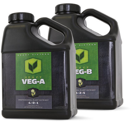 Heavy 16 Veg A - 1 GAL