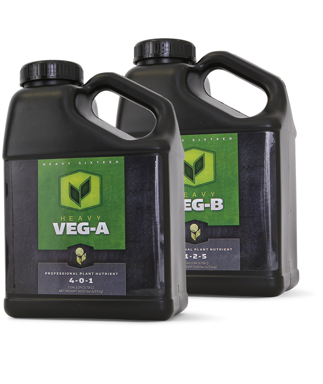 Heavy 16 Veg B - 1 GAL