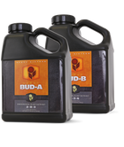 Heavy 16 Bud A - 2.5 GAL