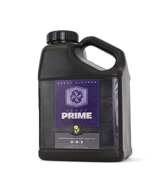 Heavy 16 Prime - 1 QT