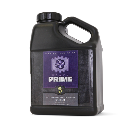 Heavy 16 Prime - 8OZ/250ML