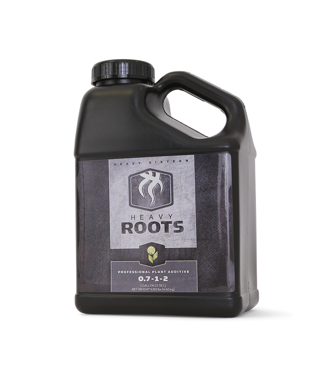 Heavy 16 Roots - 8OZ/250ML