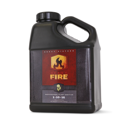 Heavy 16 Fire - 1 QT