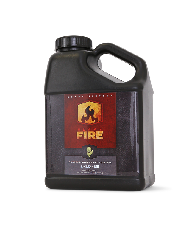 Heavy 16 Fire - 1 GAL