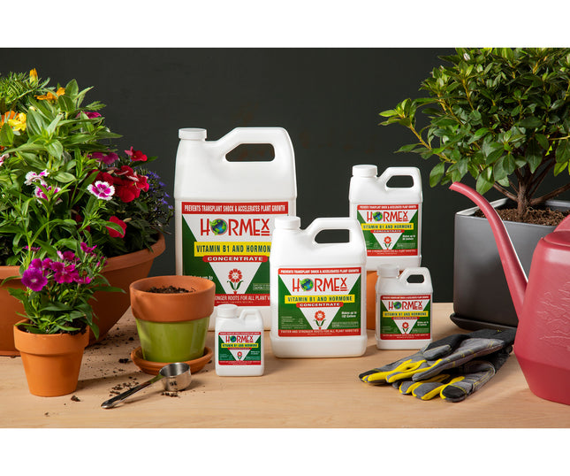 Hormex Liquid Concentrate 32oz