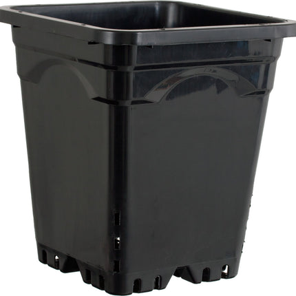 Square Pot - 12"x12"x12" Sq Blk Pot