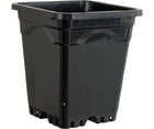 Square Pot - 12