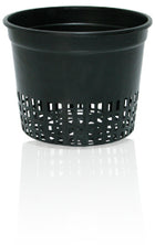 Net Cup - 5
