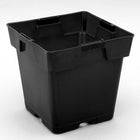Square Pot - 5.5