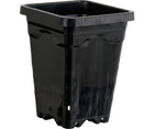 Premium Square Pot - 5