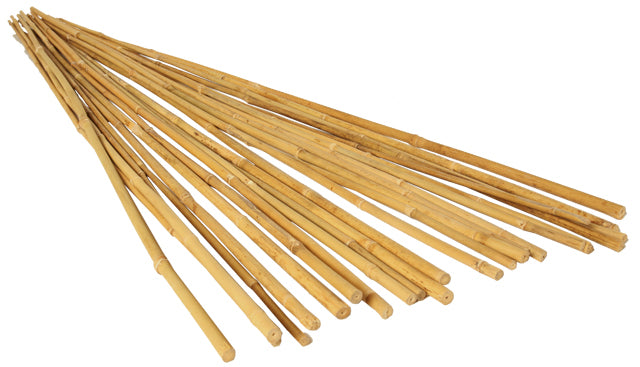 Grow !t Bamboo Stakes - 2FT (Pack of 25)