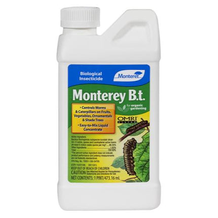 Monterey B.t. - 1 PT