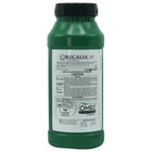 Marrone Regalia - 1 Gallon