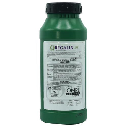 Marrone Regalia - 1 QT