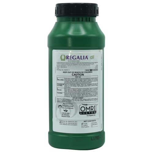 Marrone Regalia - 1 QT
