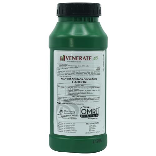 Marrone Venerate - 1 QT