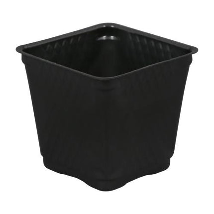 Gro Pro Black Square Pots - Blow-Molded - 4in