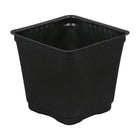 Gro Pro Black Square Pots - Blow-Molded - 4in