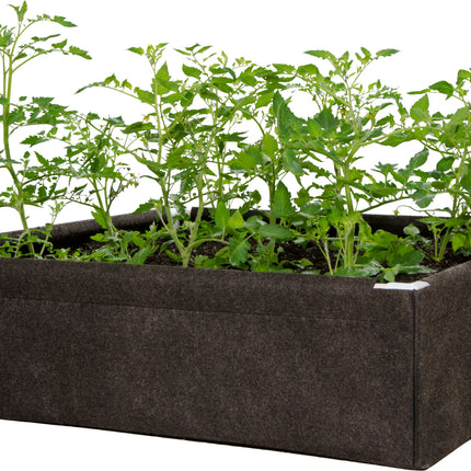 Dirt Pot Box Raised Bed - 2'X4'