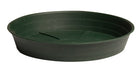 Green Premium Saucer - 12