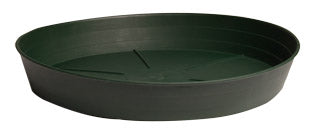 Green Premium Saucer - 6"
