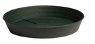 Green Premium Saucer - 8