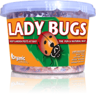Orcon Live Lady Bugs