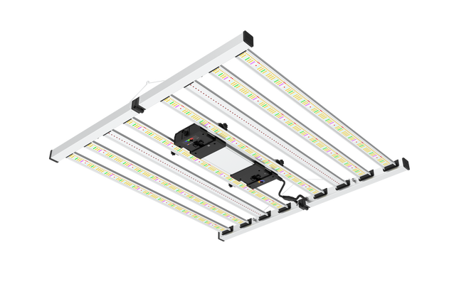 Mammoth Lighting Nova Sun 8-bar LED grow light