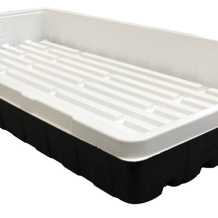 Mondi Black & White Propagation Tray