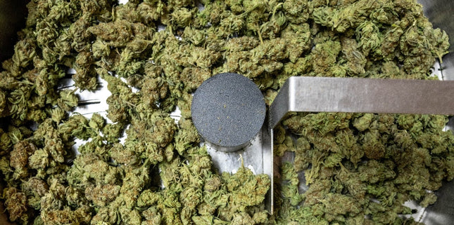 GreenBroz M Lite trim chamber