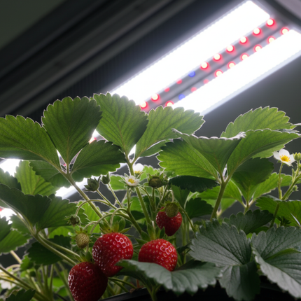 ThinkGrow Model-I 720W single-bar LED grow light