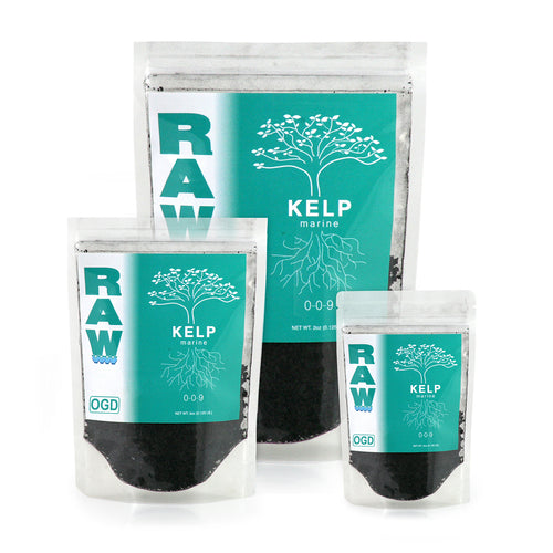 RAW Kelp - 2OZ