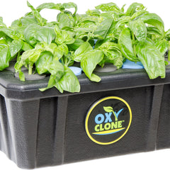 Collection image for: OxyClone
