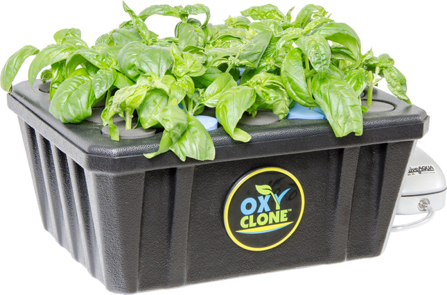 OXYCLONE 20 Site Cloning System