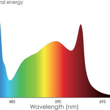 Phantom PHENO 440 LED - 440W - 100-277V - MP Spectrum